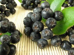 Aronia, Wunderfrucht, Apfelbeere, sekundäre Pflanzenstoffe, Gerbstoffe, gesunde Ernährung